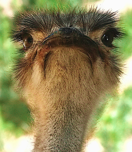 Sorry for the inconvenience.